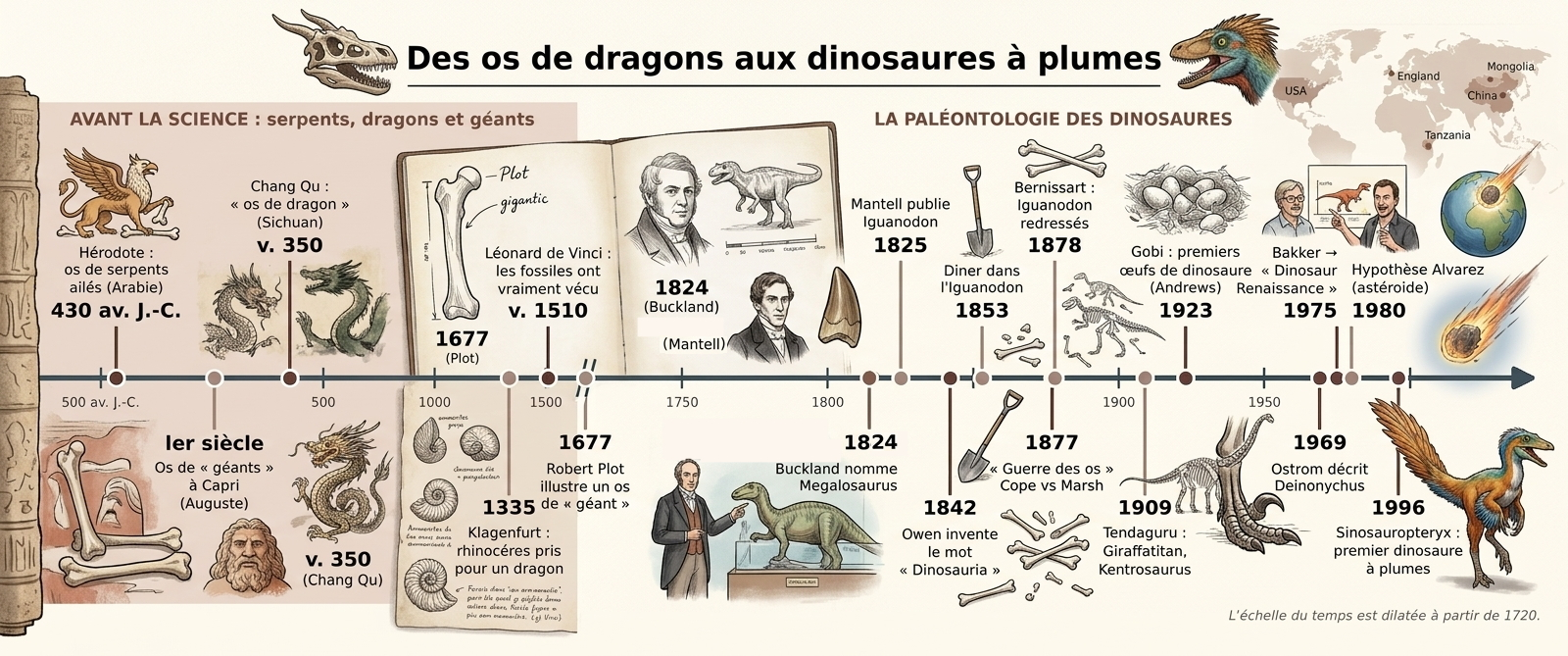 Frise chronologique des grandes étapes de l'histoire de la paléontologie des dinosaures, des os de serpents ailés d'Hérodote au Ve siècle av. J.-C. à la révolution des dinosaures à plumes en 1996 Frise chronologique des grandes étapes de l'histoire de la paléontologie des dinosaures, des os de serpents ailés d'Hérodote au Ve siècle av. J.-C. à la révolution des dinosaures à plumes en 1996
